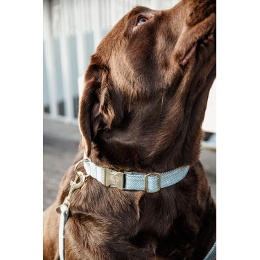 Hondenhalsband Wool Kentucky Lichtblauw
