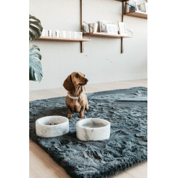 Collier pour chien Wool Kentucky Beige Collier pour chien Wool Kentucky Beige