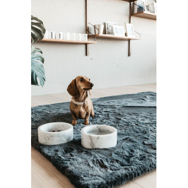 Collier pour chien Wool Kentucky Beige Collier pour chien Wool Kentucky Beige