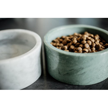 Marmeren hondenbak Kentucky Donkergroen