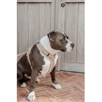 Harnais pour chien Active Teddy Fleece Kentucky Beige Harnais pour chien Active Teddy Fleece Kentucky Beige