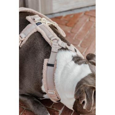 Harnais pour chien Active Teddy Fleece Kentucky Beige