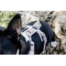 Harnais pour chien Active Velvet Kentucky Beige Harnais pour chien Active Velvet Kentucky Beige