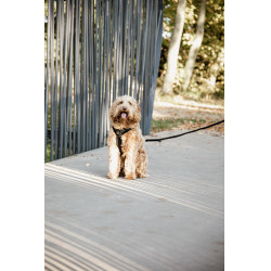 Harnas voor honden Active Velvet Kentucky Zwart