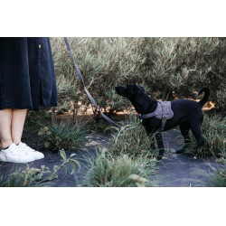 Harnas voor honden Body Safe Wool Kentucky Grijs