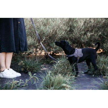 Harnas voor honden Body Safe Wool Kentucky Grijs