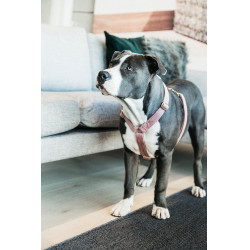 Hondenharnas Velvet Loop Kentucky Oudroze