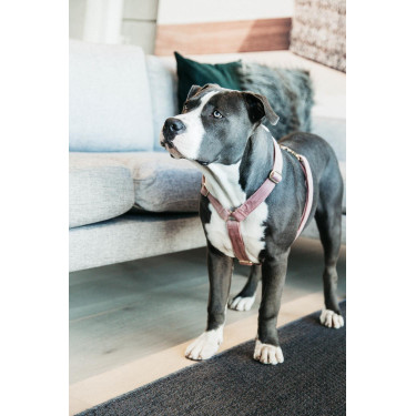 Hondenharnas Velvet Loop Kentucky Oudroze