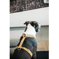 Hondenharnas Velvet Loop Kentucky Mosterdkleurig Geel