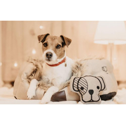 Hondenspeeltje Dog-Head Kentucky