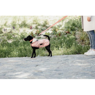 Jacquard hondenkleed Kentucky Terracotta Oranje