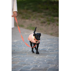 Jacquard hondenkleed Kentucky Terracotta Oranje