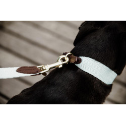Jacquard hondenkleed Kentucky Lichtblauw