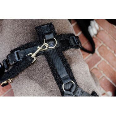 Hondenriem Teddy Fleece 120 cm Kentucky Zwart