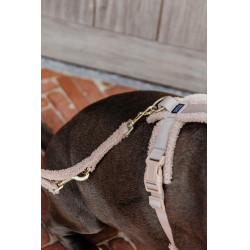Laisse pour chien Teddy Fleece 200 cm Kentucky Beige