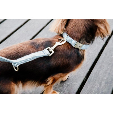 Wool Korte Kentucky Hondendeken Wool Korte Kentucky Hondendeken
