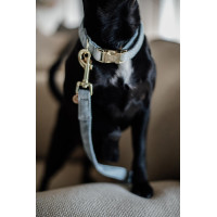 Wool Long Laisse voor hond Kentucky Lichtblauw Wool Long Laisse voor hond Kentucky Lichtblauw