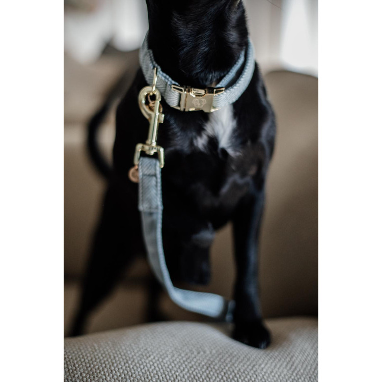 Wool Long Laisse voor hond Kentucky