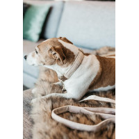 Wool Long Laisse voor hond Kentucky Lichtblauw