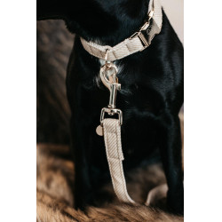Laisse pour chien Wool Longue Kentucky Beige