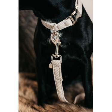 Laisse pour chien Wool Longue Kentucky Beige