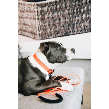 Laat Soft Rubber Kentucky Neon oranje Laat Soft Rubber Kentucky Neon oranje