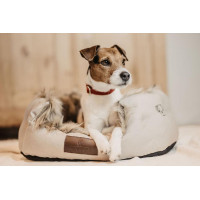 Hondenmand Cave Kentucky Bruin