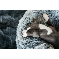 Comfortabele hondenmand Donut Kentucky Comfortabele hondenmand Donut Kentucky