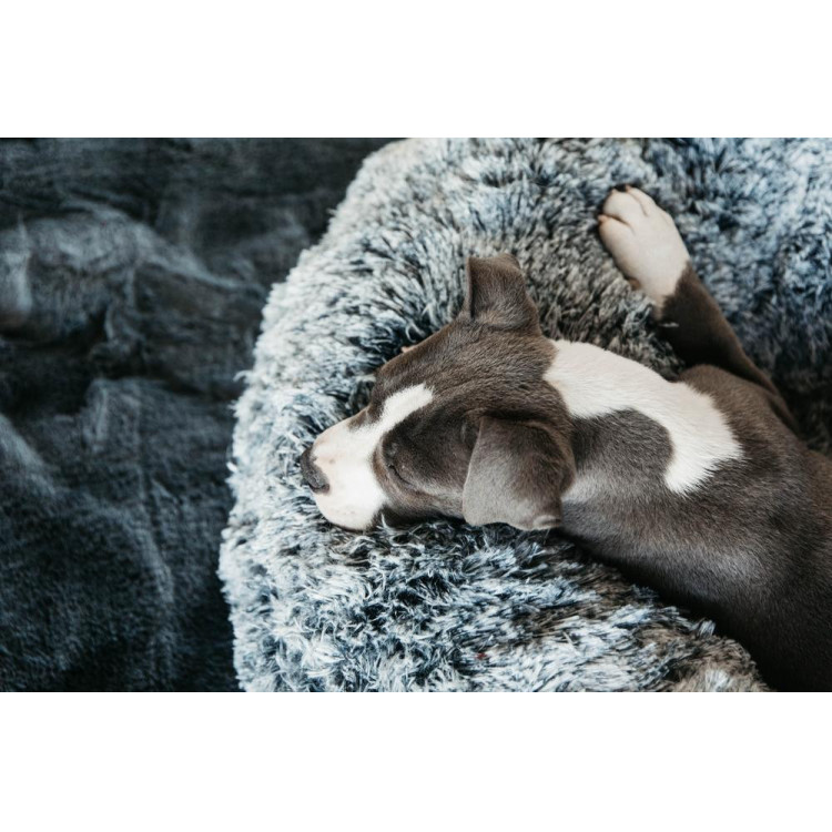 Comfortabele hondenmand Donut Kentucky Comfortabele hondenmand Donut Kentucky