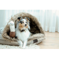 Hondenbed Igloo Kentucky Bruin