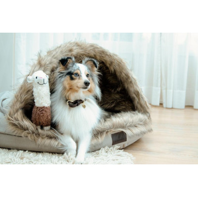 Lit pour chien Igloo Kentucky Brun