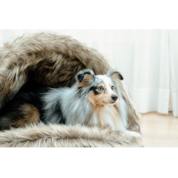 Hondenbed Igloo Kentucky Bruin
