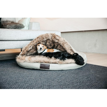 Hondenbed Igloo Kentucky Bruin