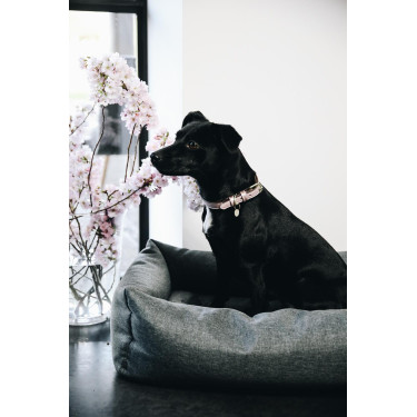 Hondenbed Soft Sleep Kentucky Grijs