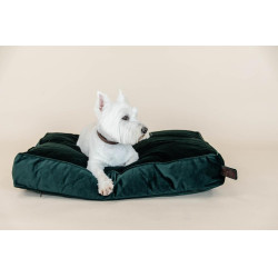 Kussen voor honden Velvet Kentucky