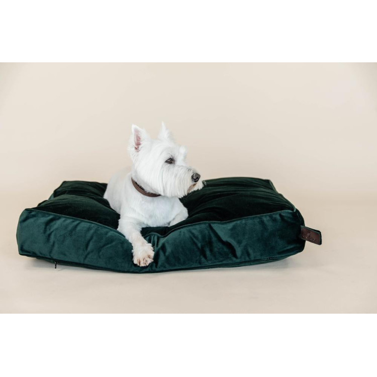 Kussen voor honden Velvet Kentucky