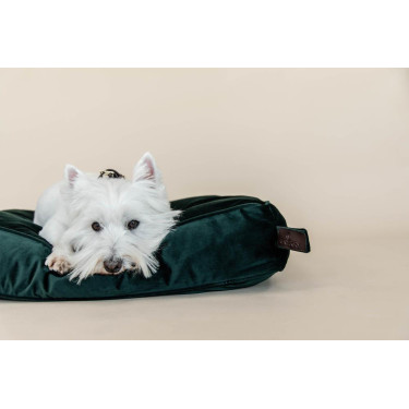 Kussen voor honden Velvet Kentucky Kussen voor honden Velvet Kentucky