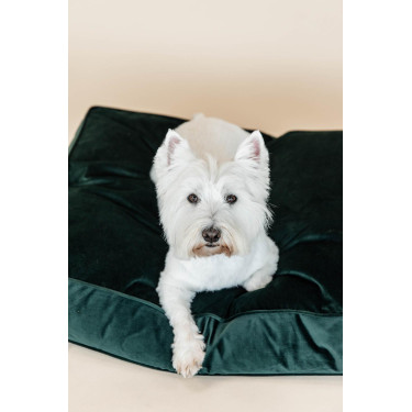 Kussen voor honden Velvet Kentucky Kussen voor honden Velvet Kentucky