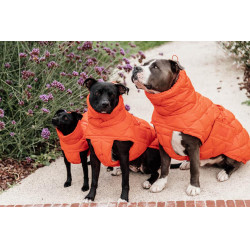 Winterjas voor hond Pina Kentucky
