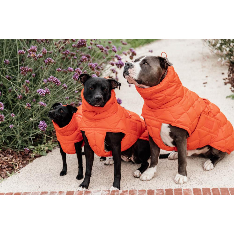 Winterjas voor hond Pina Kentucky