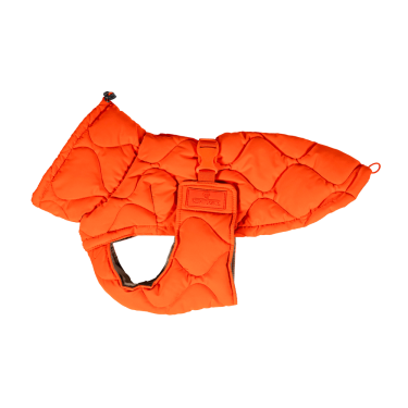 Winterjas voor hond Pina Kentucky Winterjas voor hond Pina Kentucky