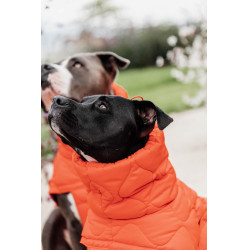 Winterjas voor hond Pina Kentucky Oranje