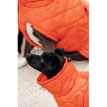 Winterjas voor hond Pina Kentucky Winterjas voor hond Pina Kentucky