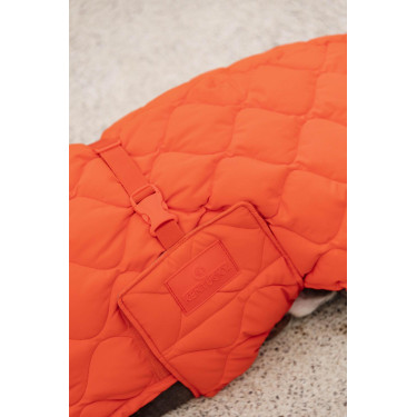 Winterjas voor hond Pina Kentucky Winterjas voor hond Pina Kentucky