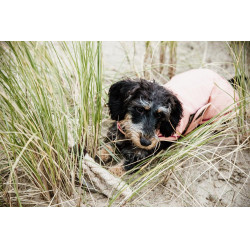 Hondenjas Waterdicht 160g Kentucky Koraal Rood Hondenjas Waterdicht 160g Kentucky Koraal Rood