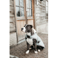 Hondenjas Waterdicht 160g Kentucky Koraal Rood