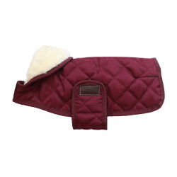 Manteau pour chien Original Kentucky Bordeaux