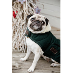 Hondenjas Original Kentucky Donkergroen