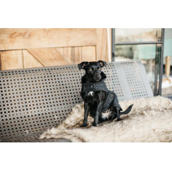 Hondenjas Original Kentucky Zwart/zwart Hondenjas Original Kentucky Zwart/zwart