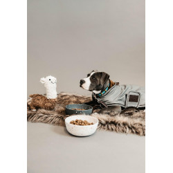 Reflecterende & waterafstotende hondenvest Kentucky Zilver Reflecterende & waterafstotende hondenvest Kentucky Zilver